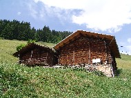 DSC05823.JPG