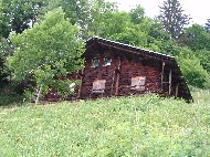 DSC05825.JPG