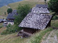 DSC05826.JPG