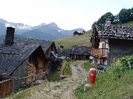 DSC05831.JPG