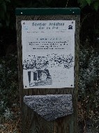 DSC05835.JPG