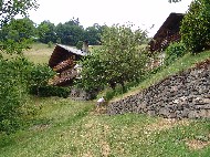 DSC05837.JPG