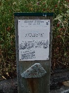 DSC05840.JPG