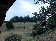 DSC05841.JPG