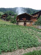 DSC05855.JPG
