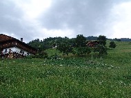 DSC05860.JPG