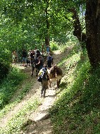DSC05861.JPG