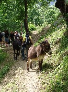 DSC05862.JPG