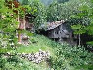 DSC05863.JPG