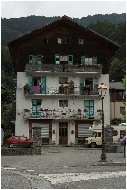 20060625_05-shrr.jpg