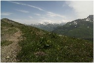 20060625_12-shrr.jpg