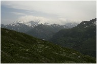 20060625_23pshr.jpg