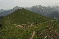 20060625_29pshr.jpg