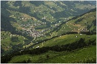 20060625_33-shrr.jpg