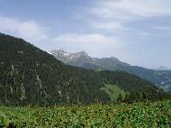 P6251372.JPG