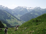 P6251436.JPG