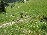 P6251438.JPG