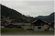 20060625_00-shr.jpg