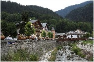 20060625_02-shrr.jpg