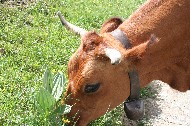 IMG_6053.JPG