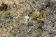 IMG_6055.JPG