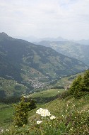IMG_6068.JPG