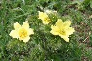 IMG_6070.JPG