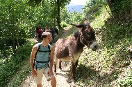 IMG_6092.JPG