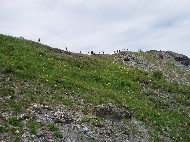 P6251403.JPG