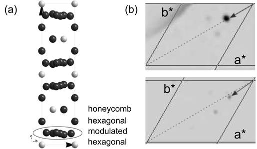 Fig1